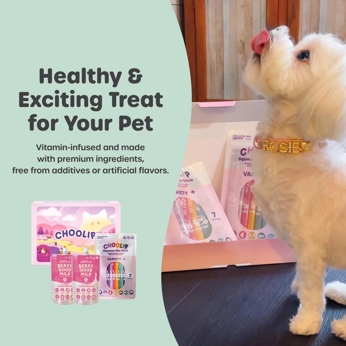 Choolip Treat Box - Variety Pouch & Hydration Milk