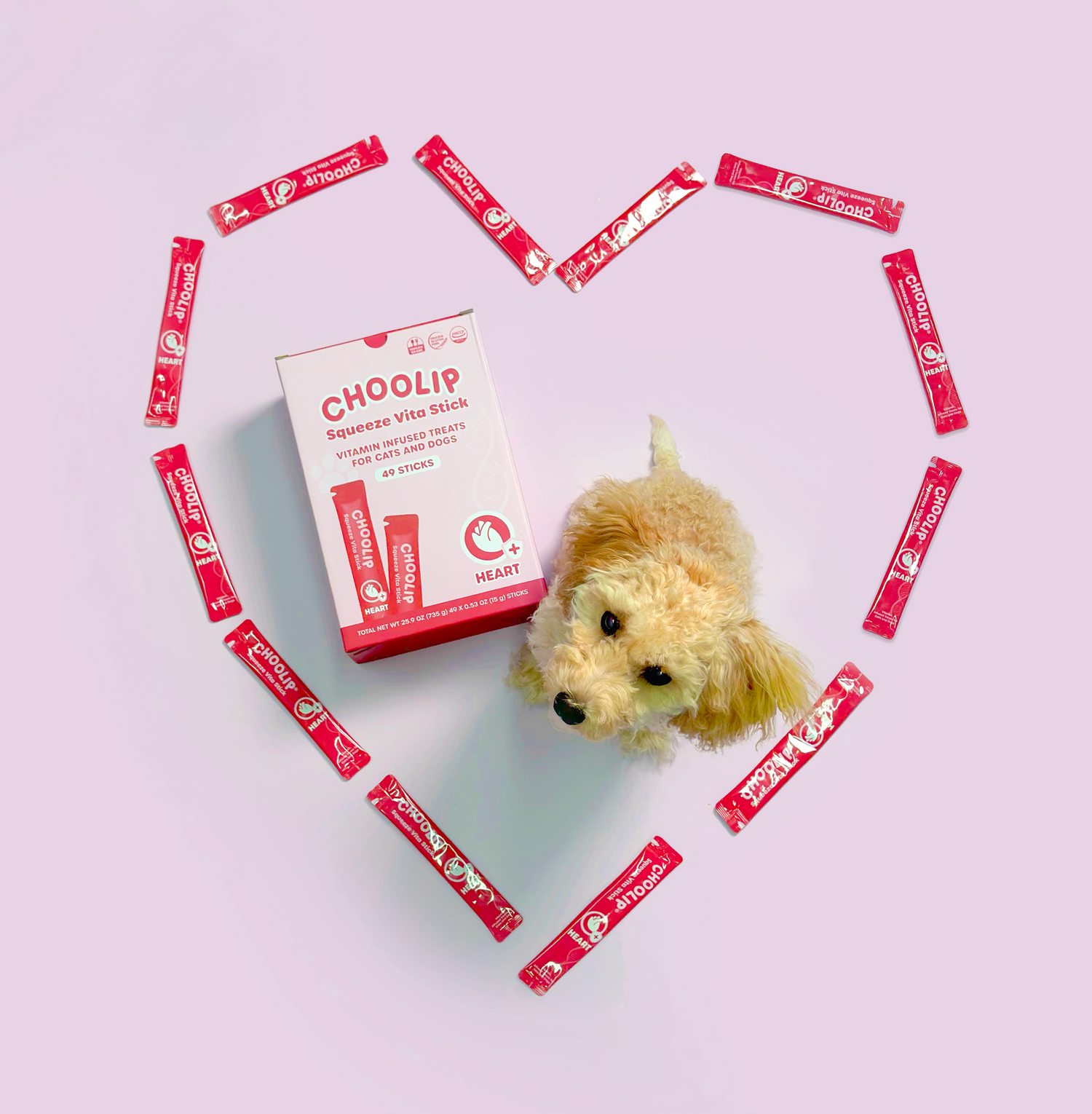 choolip_heart_sticks_box_dog