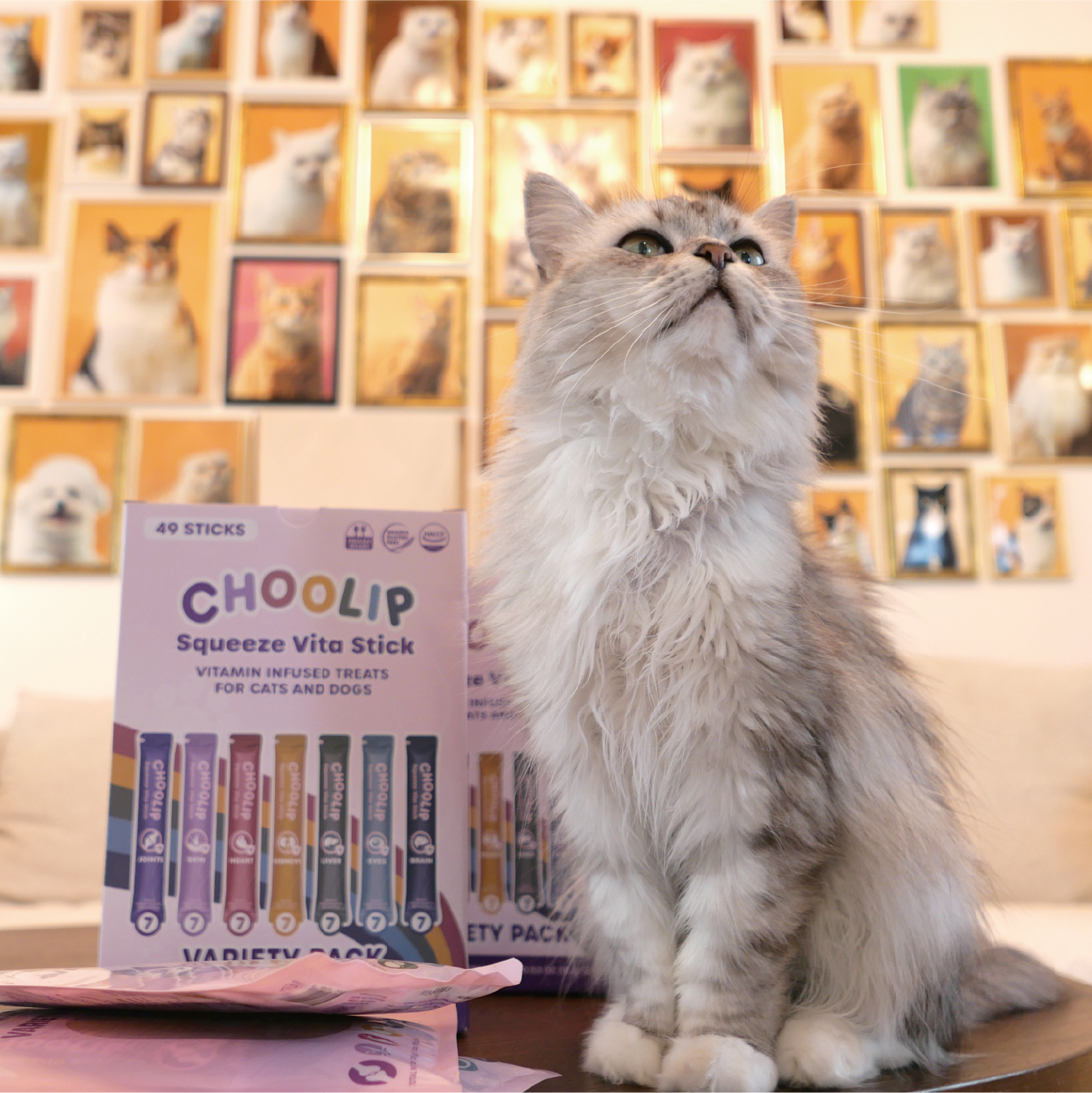 variety_box_cat