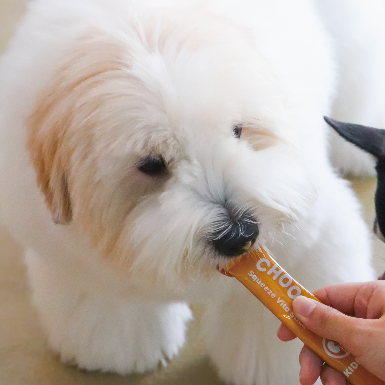 Squeeze Vita Stick Liver <br> 49 Sticks