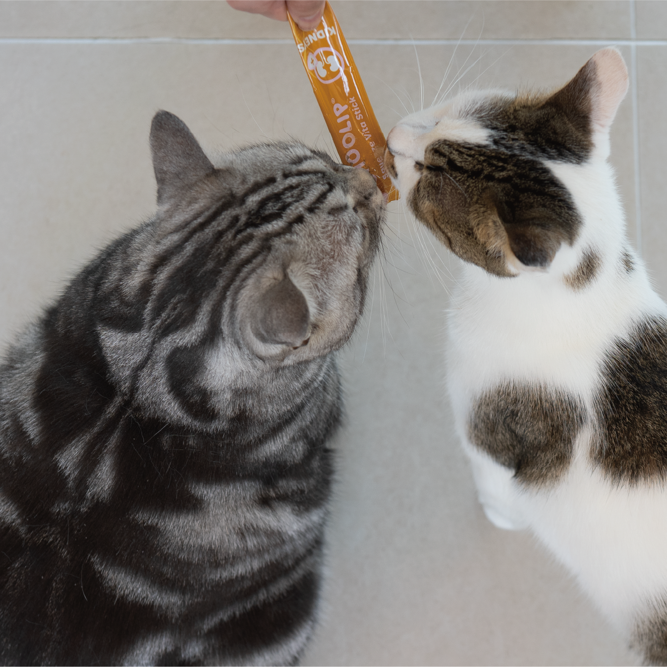 Squeeze Vita Stick Liver Pouch <br> 7 Sticks