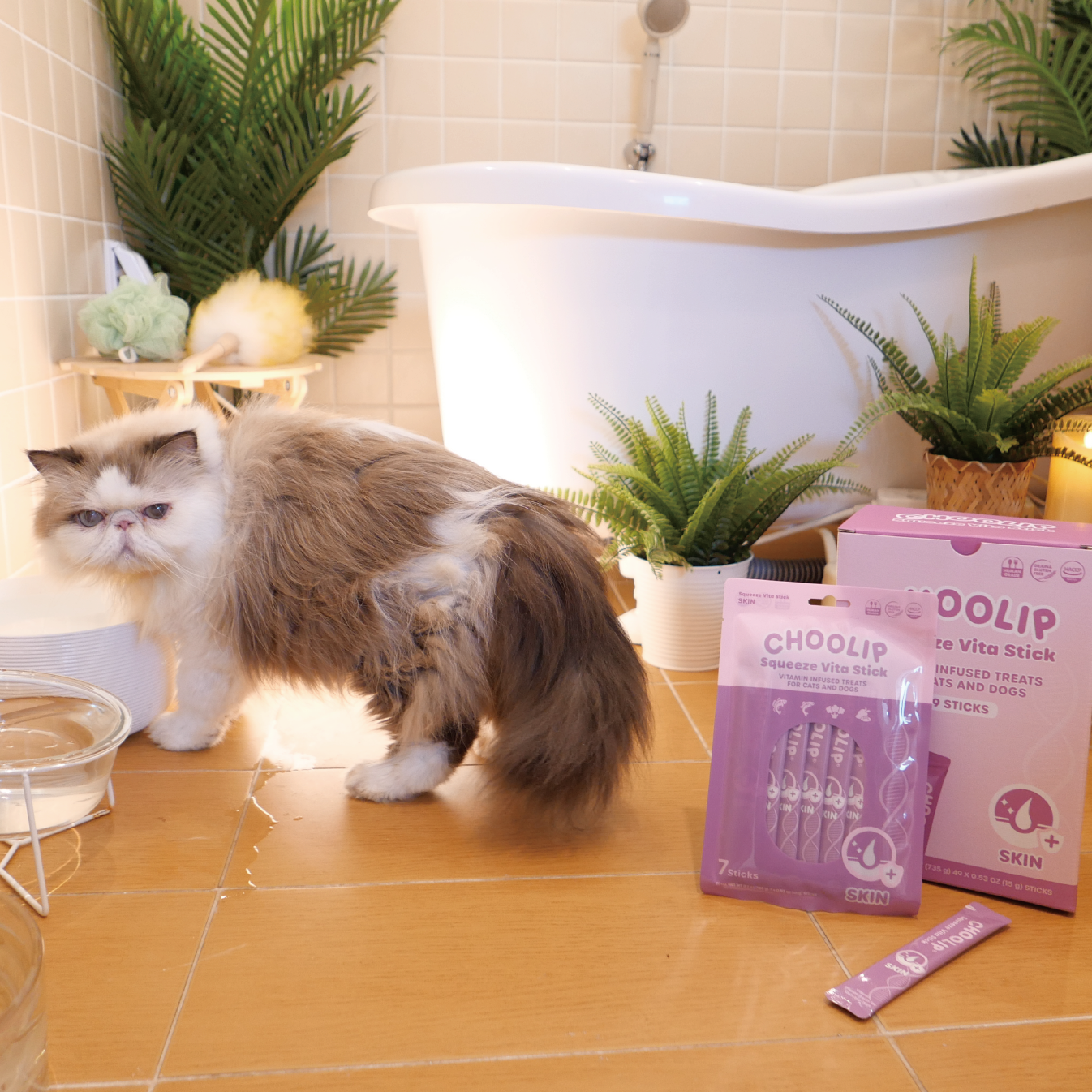 skin_stick_pouch_box_bath_cat