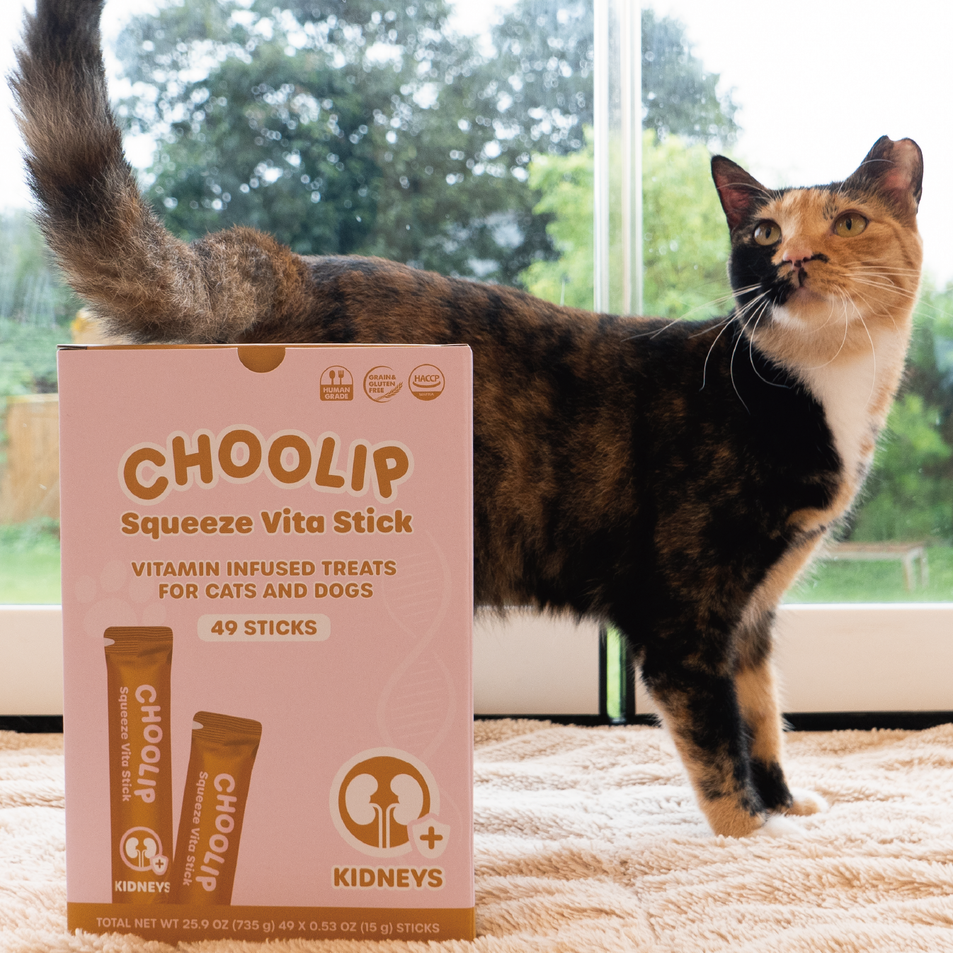kidneys_box_front_cat