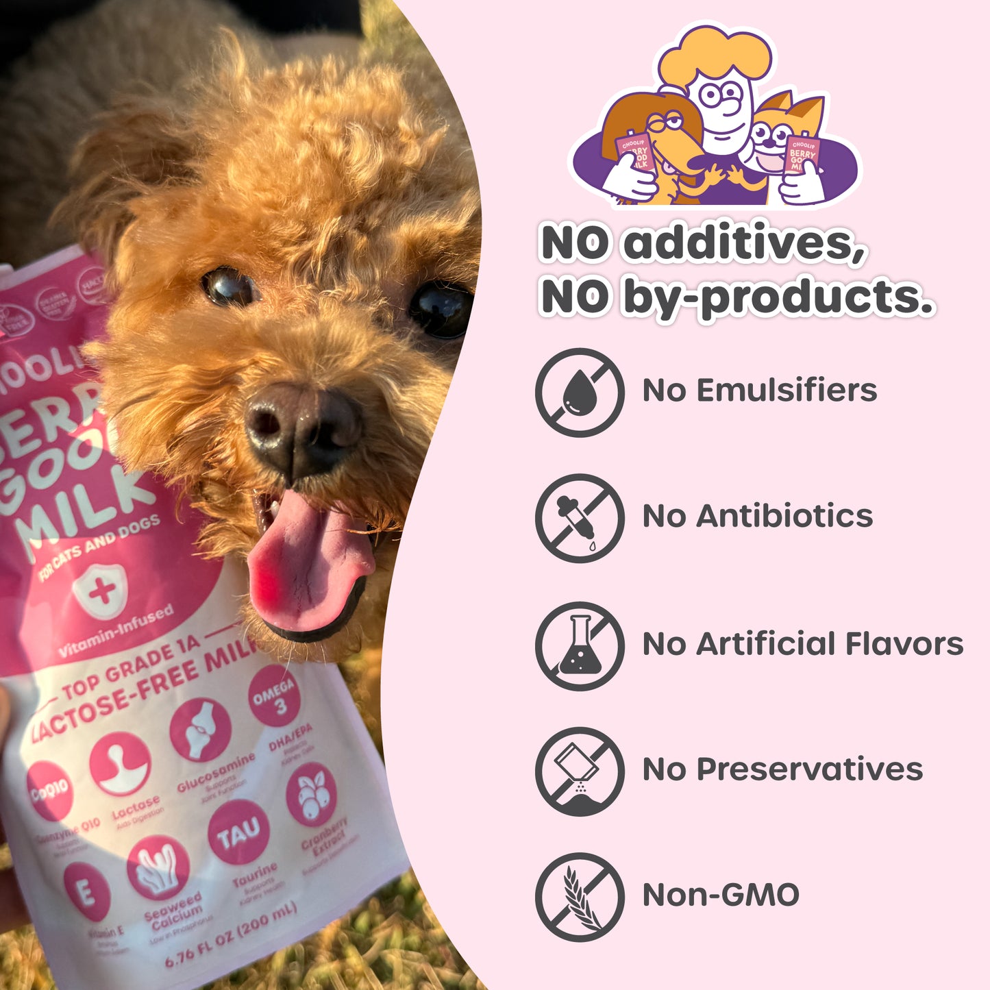 Berry Good Milk 10 Pouches