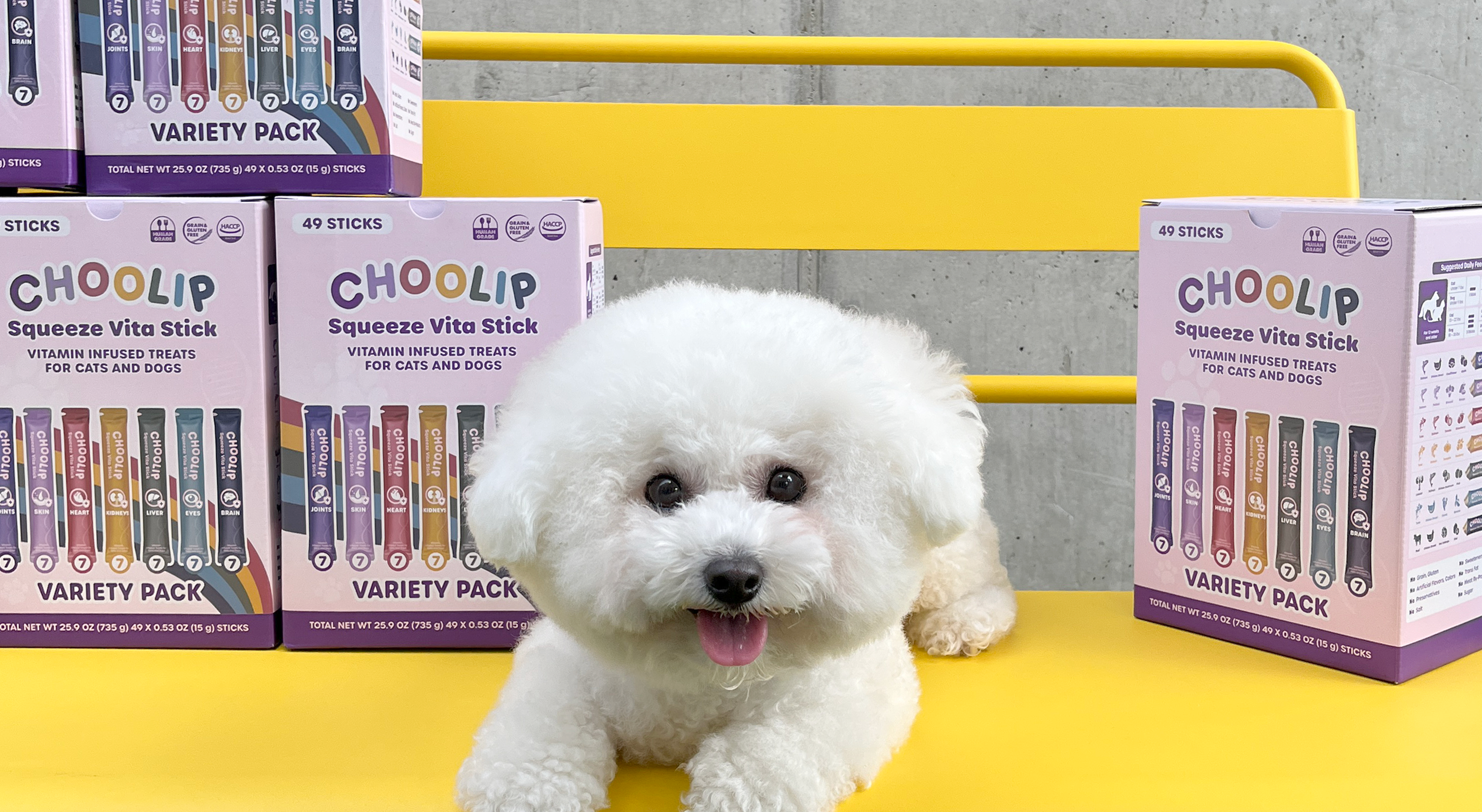 choolip_variety_box_dog