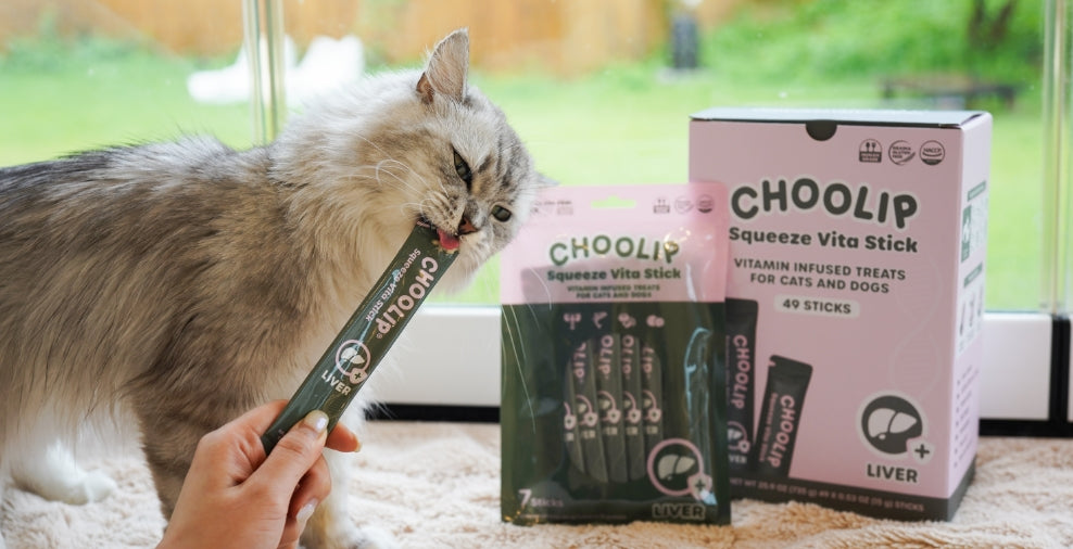 liver_box_pouch_stick_cat