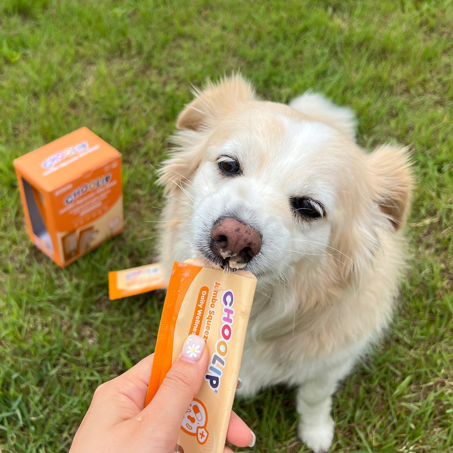 JUMBO Squeeze Vita Stick (20 Sticks)