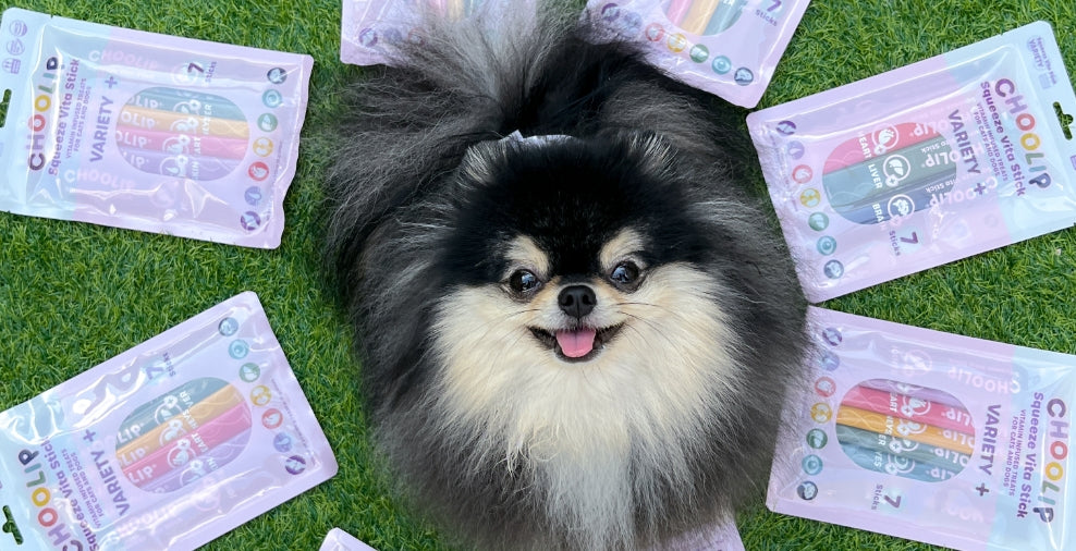 variety_pouches_dog_circle