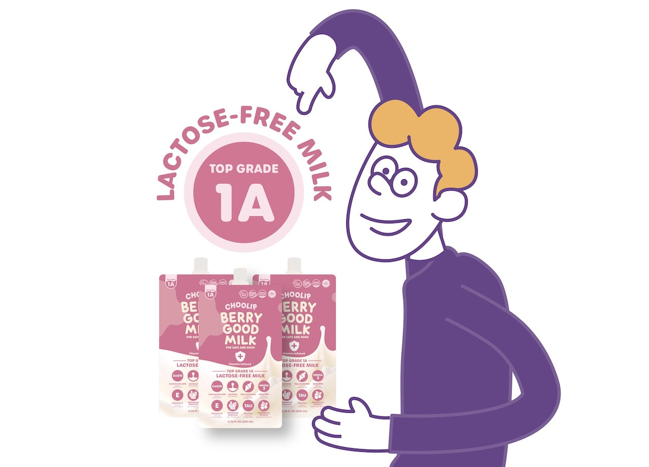 choolip_milk_topgrade_Lactosefreemilk