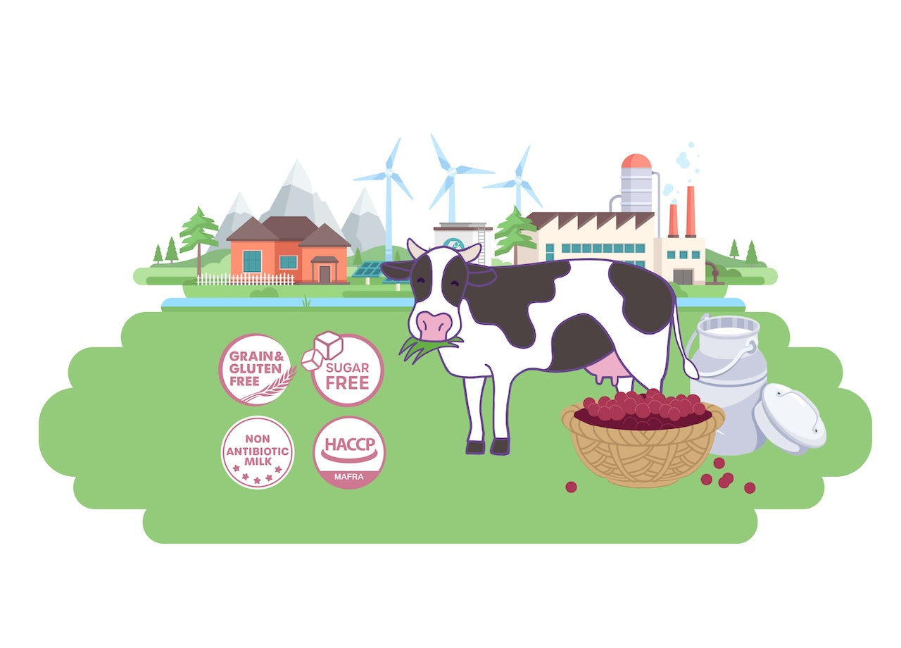choolip_milk_noadditives_nobyproducts