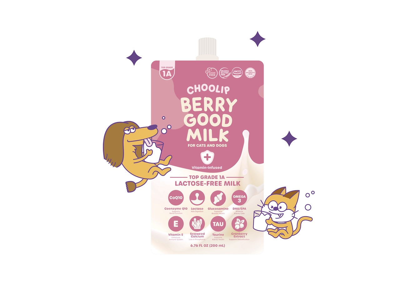 choolip_milk_safe_facility
