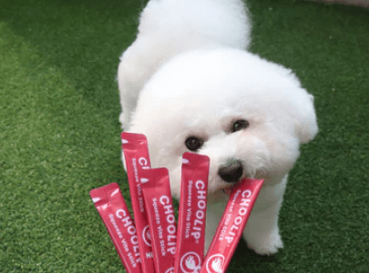 treats_heart_stick_dog