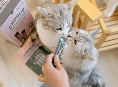 treats_liver_stick_cat