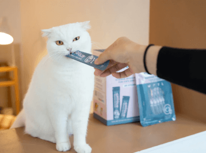 treats_eyes_stick_cat