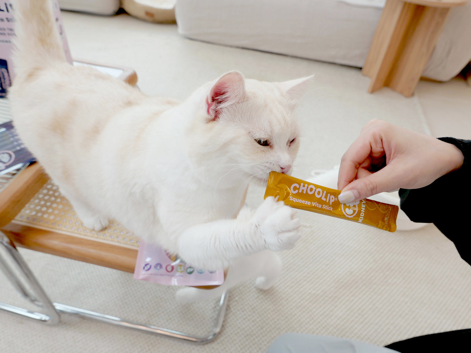 choolip_kidney_sticks_cat