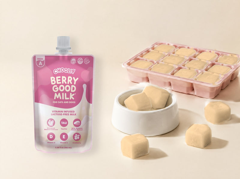 Berry Good Milk | 200ml x 10 Pouches (Family Size)