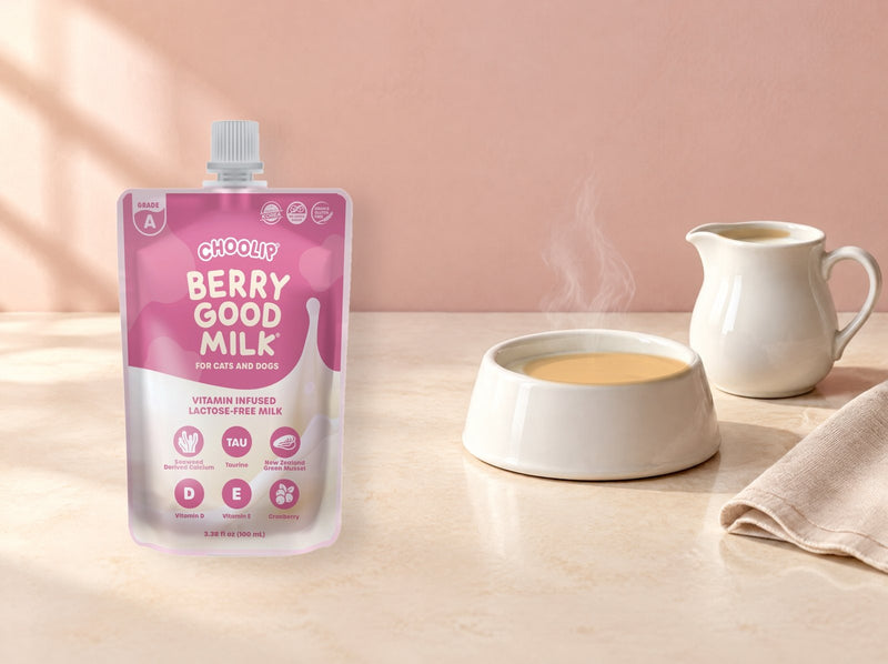 Berry Good Milk | 200ml x 10 Pouches (Family Size)