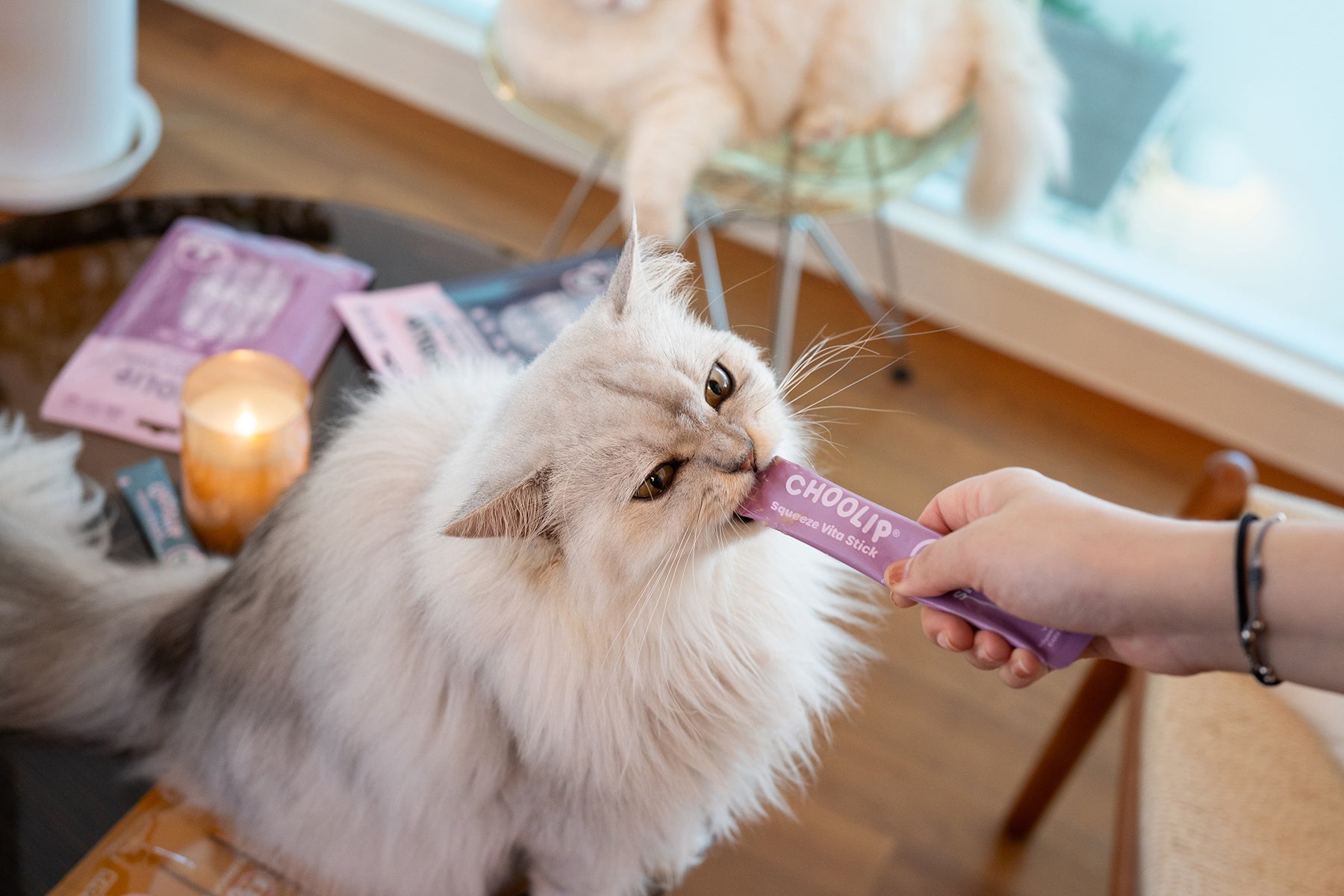 choolip_skin_stick_cat