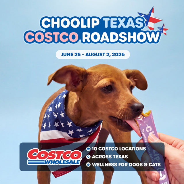 🚚 Choolip Texas Costco Roadshow 2026