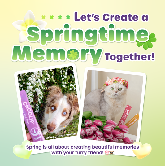 Springtime Memory