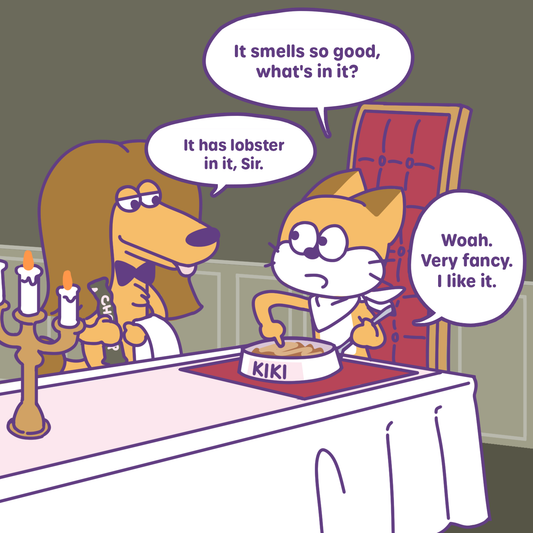 Fancy Dinner 🍽️