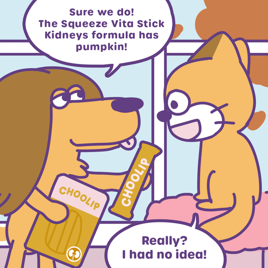 Pumpkin Season Just Got Healthier🍂