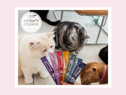 Modern cat Magazine: Nutritious Lickable Treats!