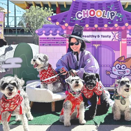 🏮  Lantern Paw Festival 2025 Recap: A Day of Culture, Community & Choolip! 🐾