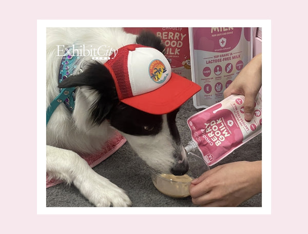 Exhibit City : SUPERZOO 2024 Drives Pet Retail Success