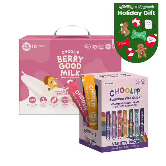 Best Sellers Box Bundle