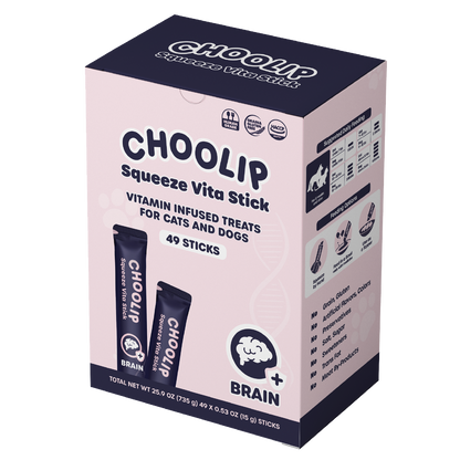 choolip_brain_box_front