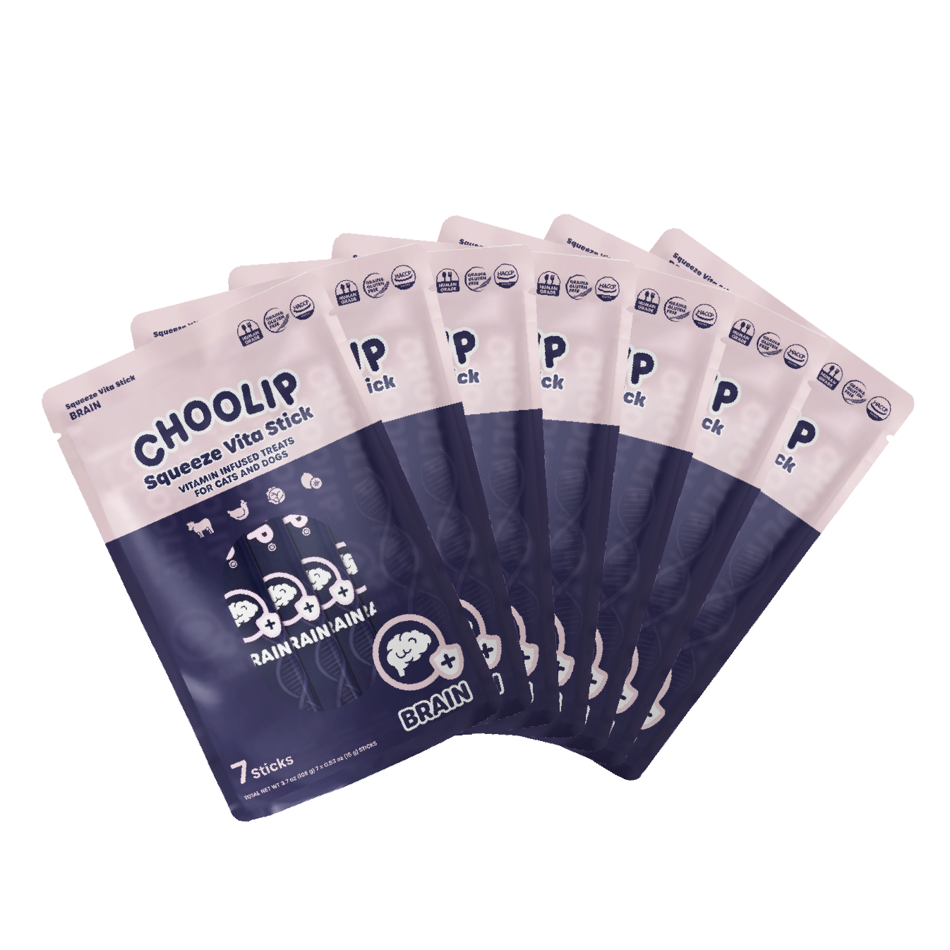 choolip_brain_pouches
