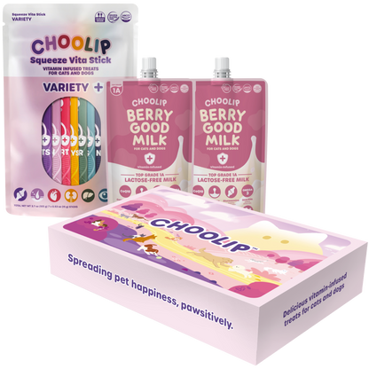 Choolip Treat Box - Variety Pouch & Hydration Milk