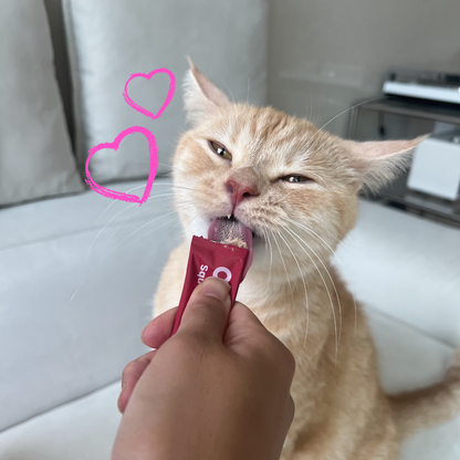 BFD Crazy Deal - Daily Essential Pouches