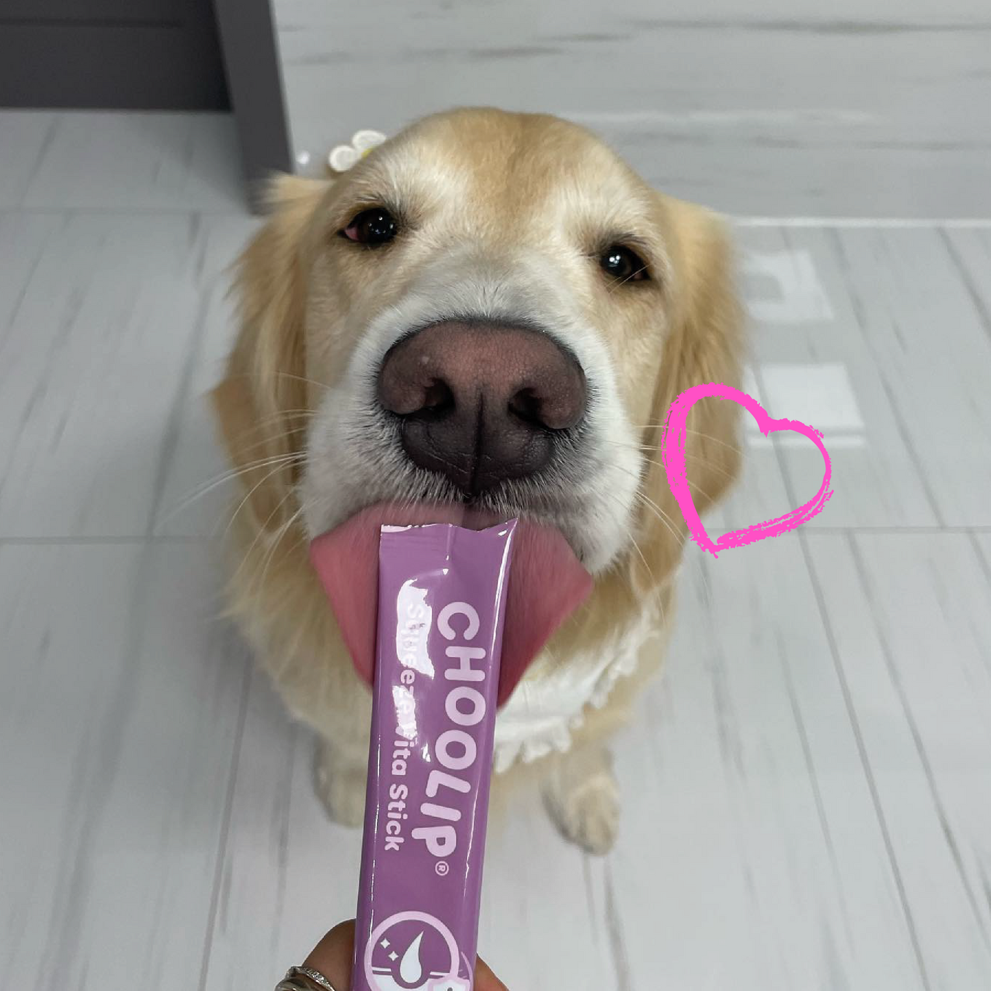 BFD Crazy Deal - Daily Essential Pouches