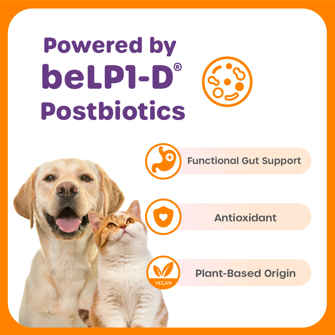 Total Balance Complete Kit (15g G&G Box)