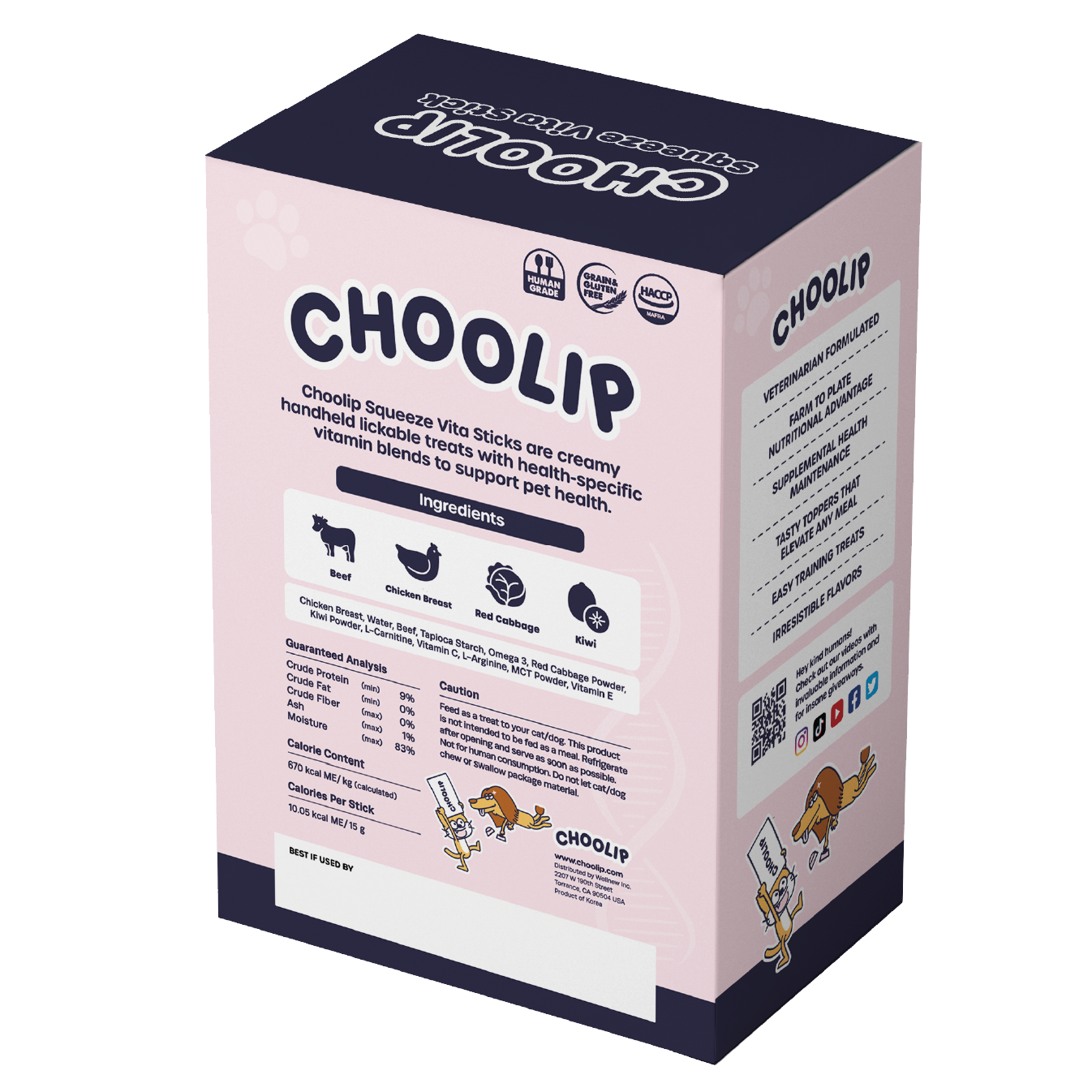 choolip_brain_box_back