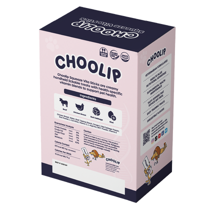 choolip_brain_box_back
