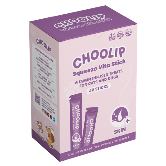 choolip_skin_box_front