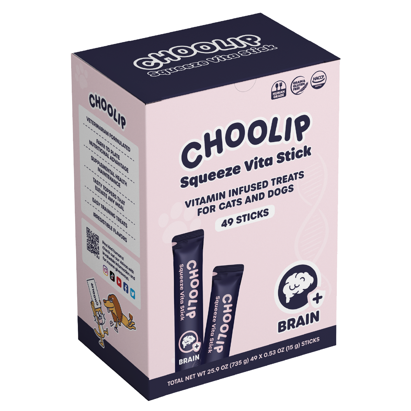 choolip_brain_box_front