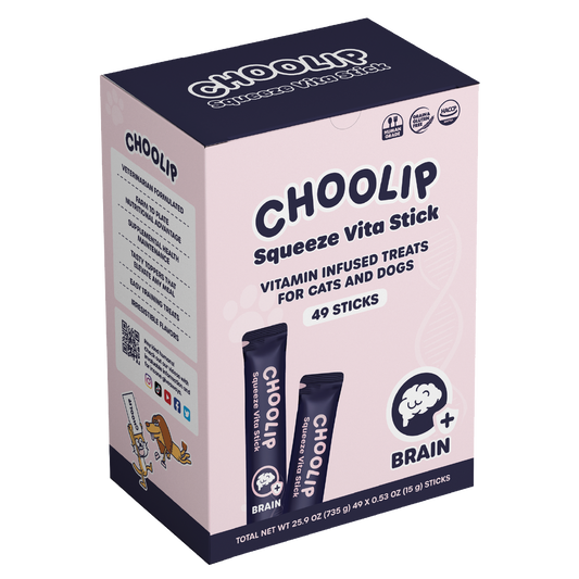 choolip_brain_box_front