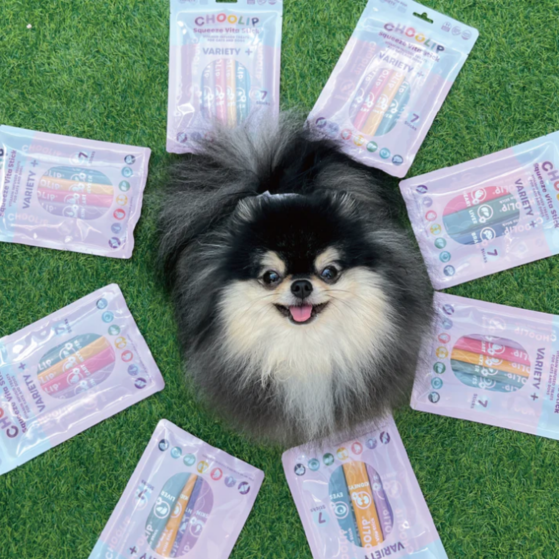 variety_pouches_dog