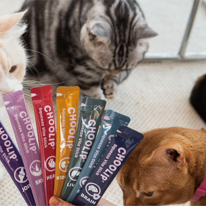 variety_sticks_cats