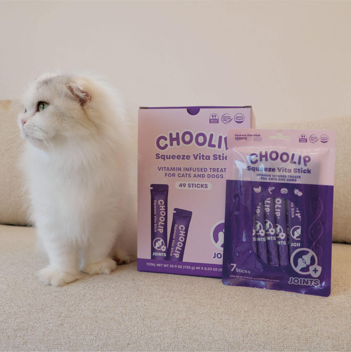 joint_pouch_box_cat
