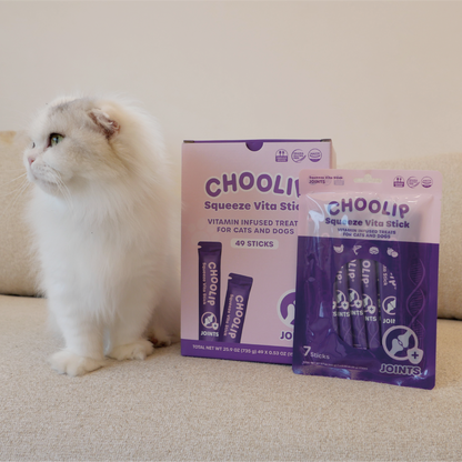 joint_pouch_box_cat