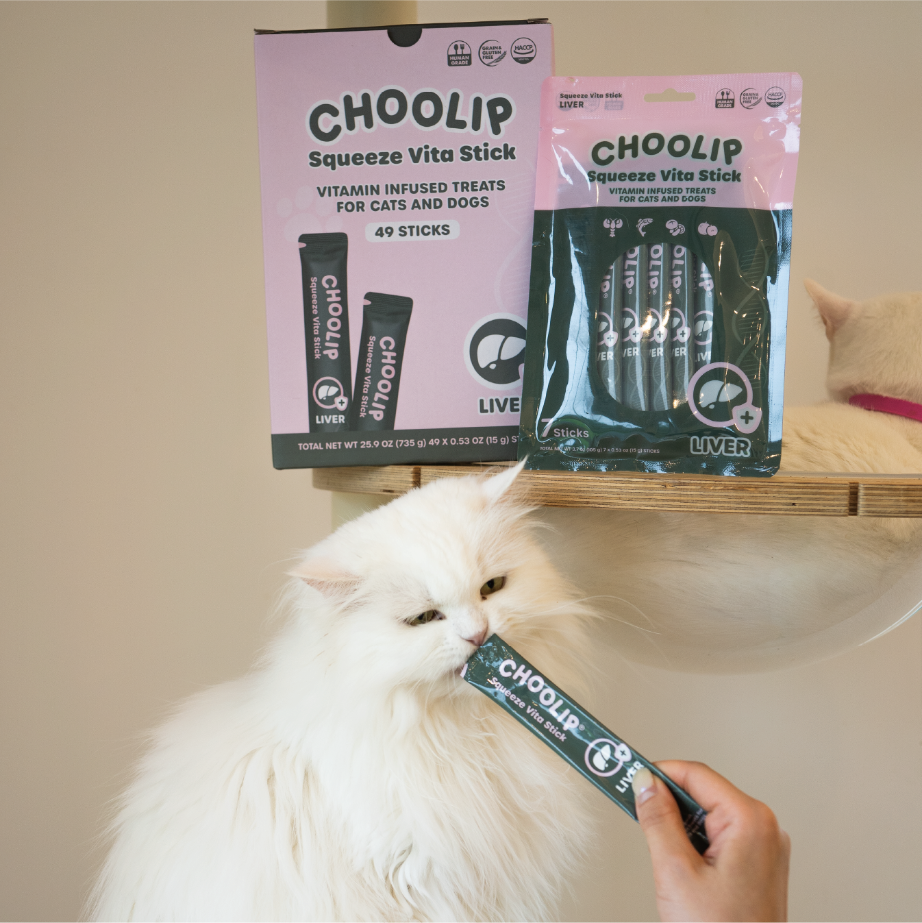 liver_stick_pouch_box_cat