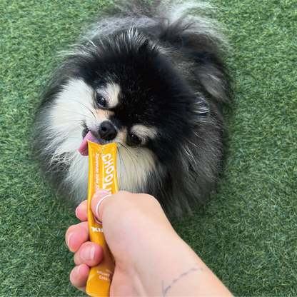 kidneys_stick_dog