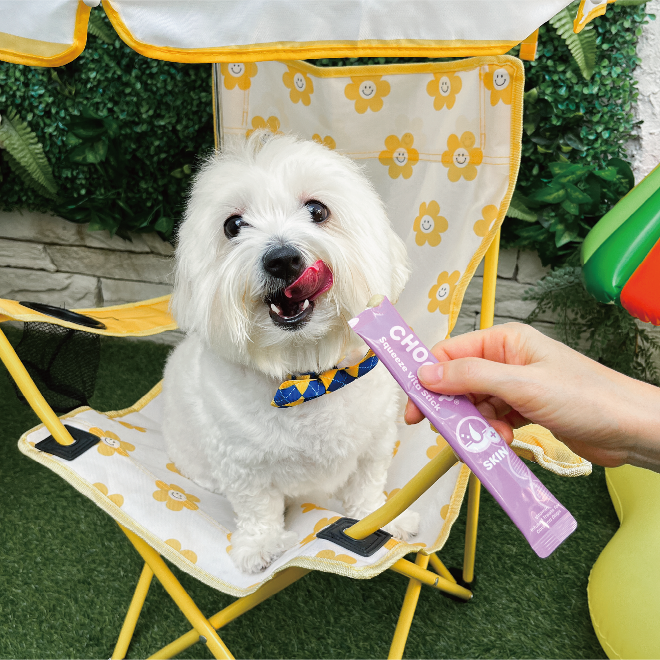 skin_sticks_dog_camping