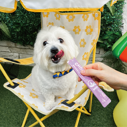 skin_sticks_dog_camping