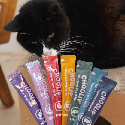Squeeze Vita Stick Variety <br> 49 Sticks